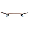 Birdhouse Complet Etapa 3 B Logo Skateboard Navy Red 7.75"