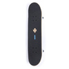 Complete Urban Sports Skateboard albastru schelet 7.75"