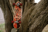 Surfskate bord YOW Lakey Peak Power Surfing Series 32 "