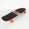 Long Island Lifeguard skateboard 28.5″