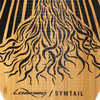Longboard încărcat Symtail 39.5" Flex 1