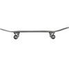 Skateboard complet NKX Skate Or Die Series Cactus 8.5"