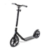 FRENZY 250mm oraș scuter Recreational negru