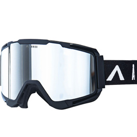 Ochelari de snowboard și schi Annox Team Adult Silver