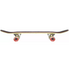 GLOBE Environmentalist Kids Micro Starfish Skateboard 6.5"
