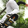 Completați NKX Rasta Royal Series Skateboard Skull 8.25"