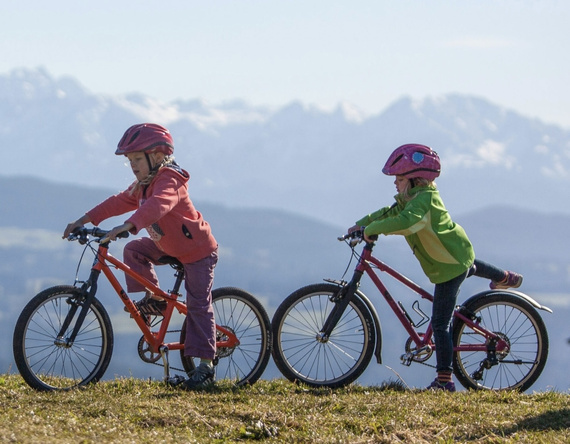 Hebie 20" garduri de noroi pentru biciclete KUbikes 20S / 20L