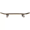 Complete Story Genetic Skateboard Negru 8.0"