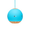 Kendama KROM Kolor Albastru