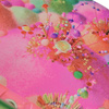 Complet Impala Pip & Pop Skateboard Sherbet Island 8.0"